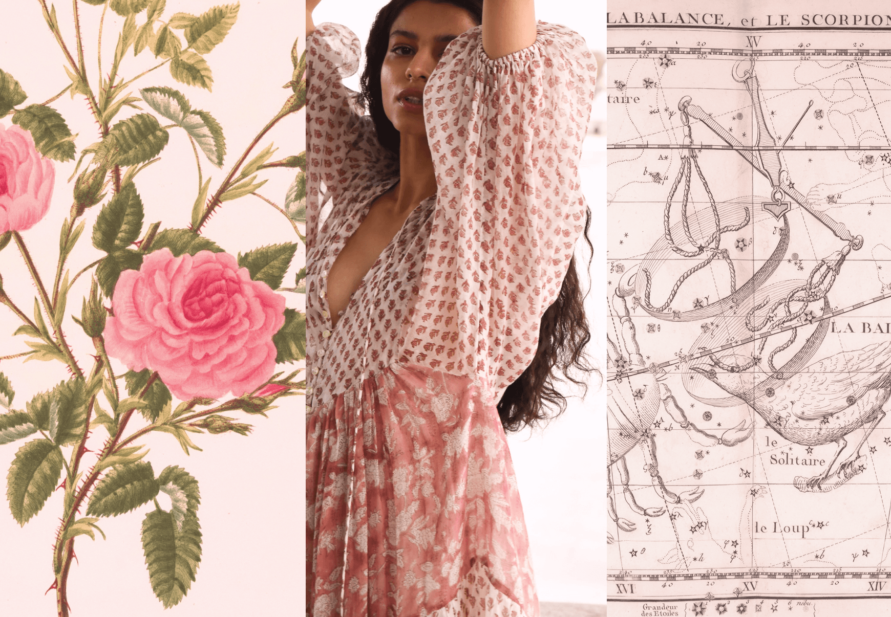 Moon Musings: Libra Season
